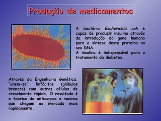 Produção de medicamentos

                                 A bactéria Escherichia coli é
                                 capaz de produzir insulina através
                                 da introdução do gene humano
                                 para a síntese desta proteína no
                                 seu DNA.
                                 A insulina é indispensável para o
                                 tratamento da diabetes.




Através da Engenharia Genética,
“unem-se”    linfócitos  (glóbulos
brancos) com outras células de
crescimento rápido. O resultado é
o fabrico de anticorpos e vacinas
que chegam ao mercado mais
rapidamente.
 