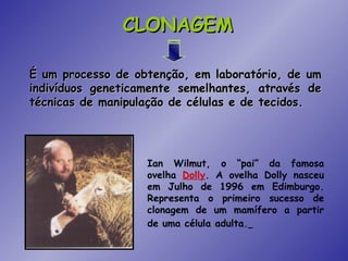 CLONAGEM

É um processo de obtenção, em laboratório, de um
indivíduos geneticamente semelhantes, através de
técnicas de manipulação de células e de tecidos.




                   Ian Wilmut, o “pai” da famosa
                   ovelha Dolly. A ovelha Dolly nasceu
                   em Julho de 1996 em Edimburgo.
                   Representa o primeiro sucesso de
                   clonagem de um mamífero a partir
                   de uma célula adulta.
 