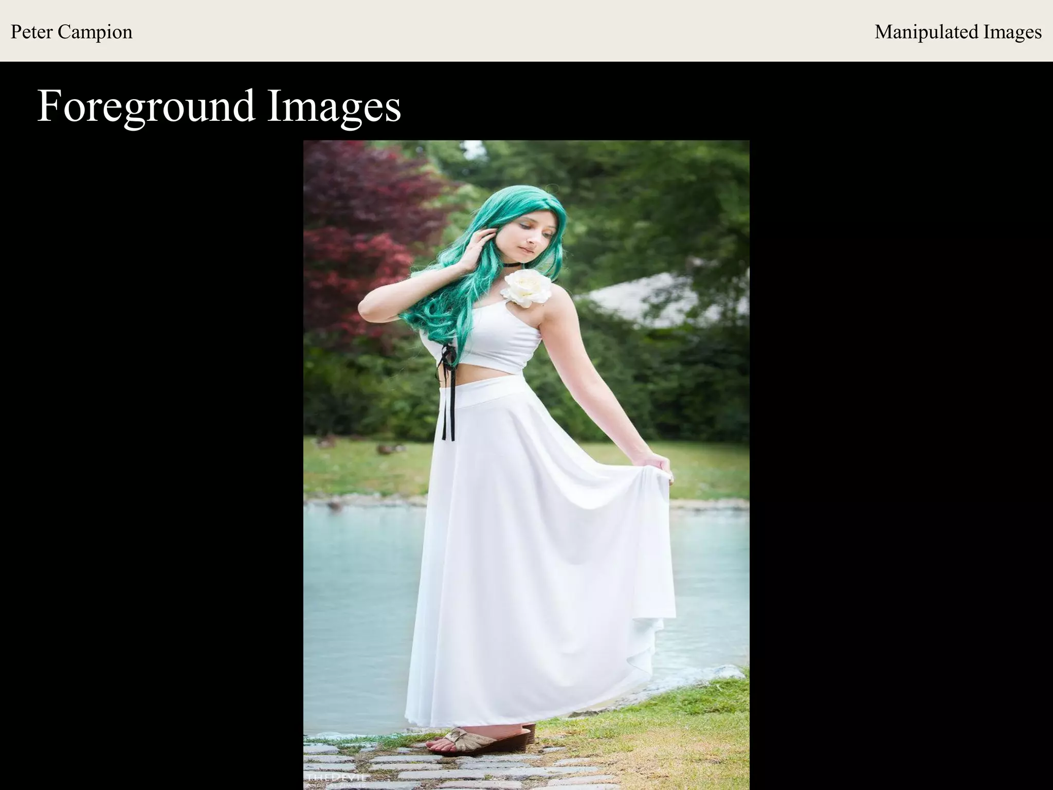 Peter Campion Manipulated Images
Foreground Images
 