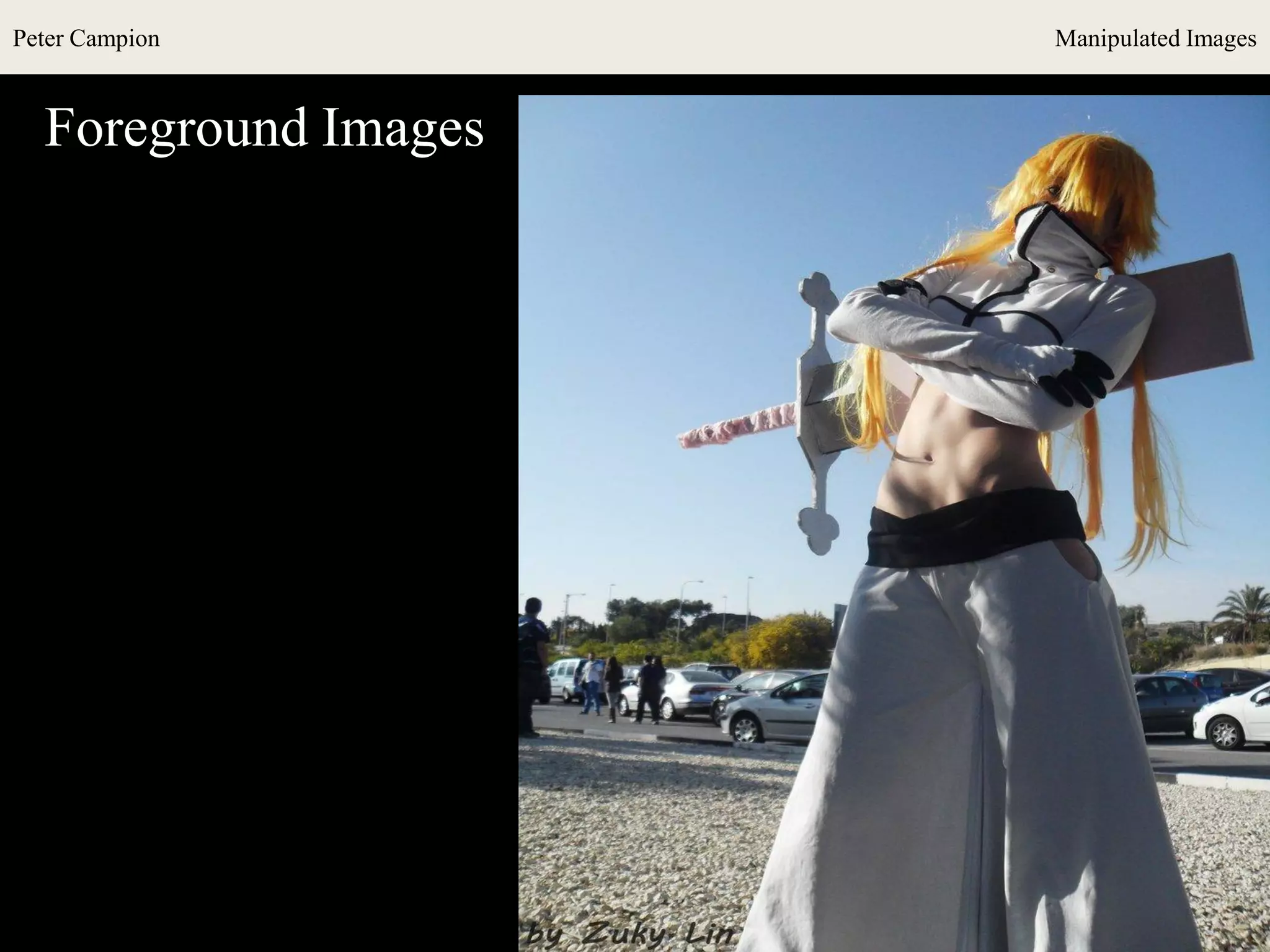 Peter Campion Manipulated Images
Foreground Images
 