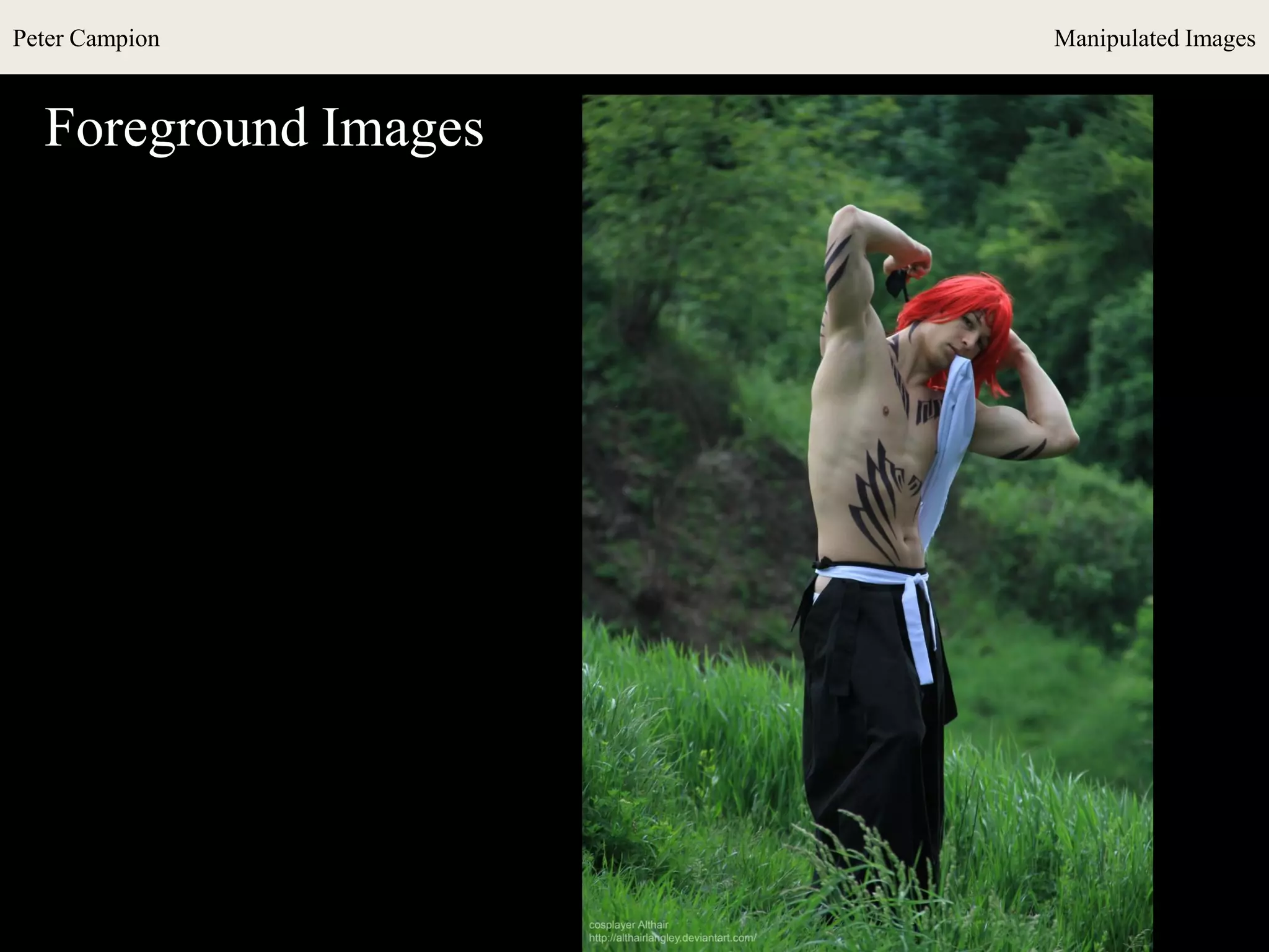 Peter Campion Manipulated Images
Foreground Images
 