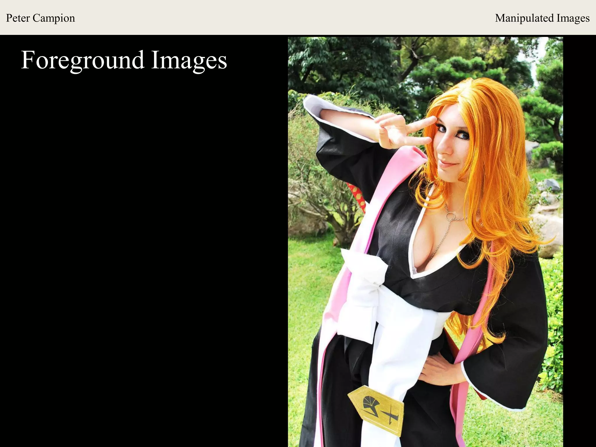 Peter Campion Manipulated Images
Foreground Images
 