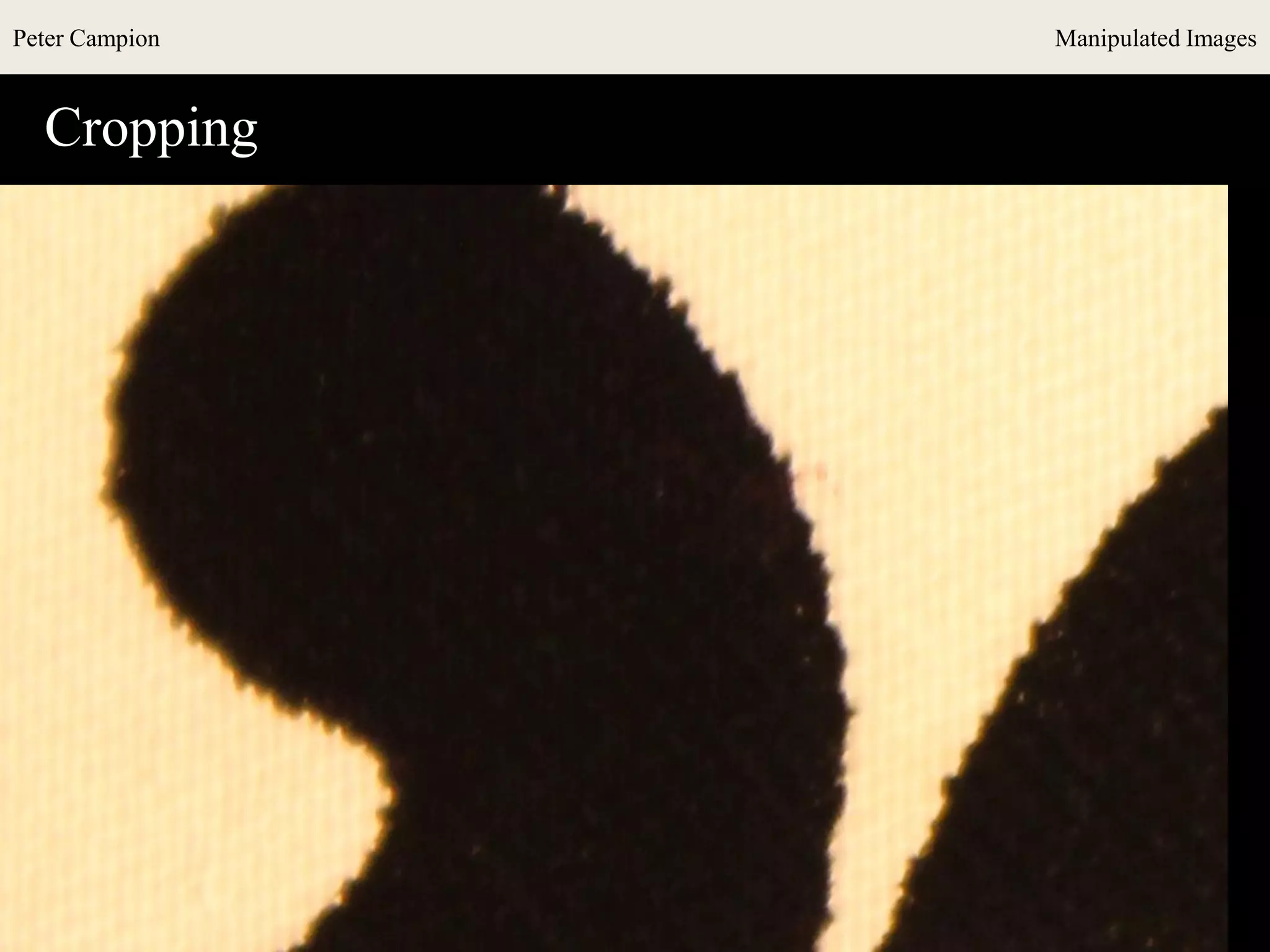 Peter Campion Manipulated Images
Cropping
 