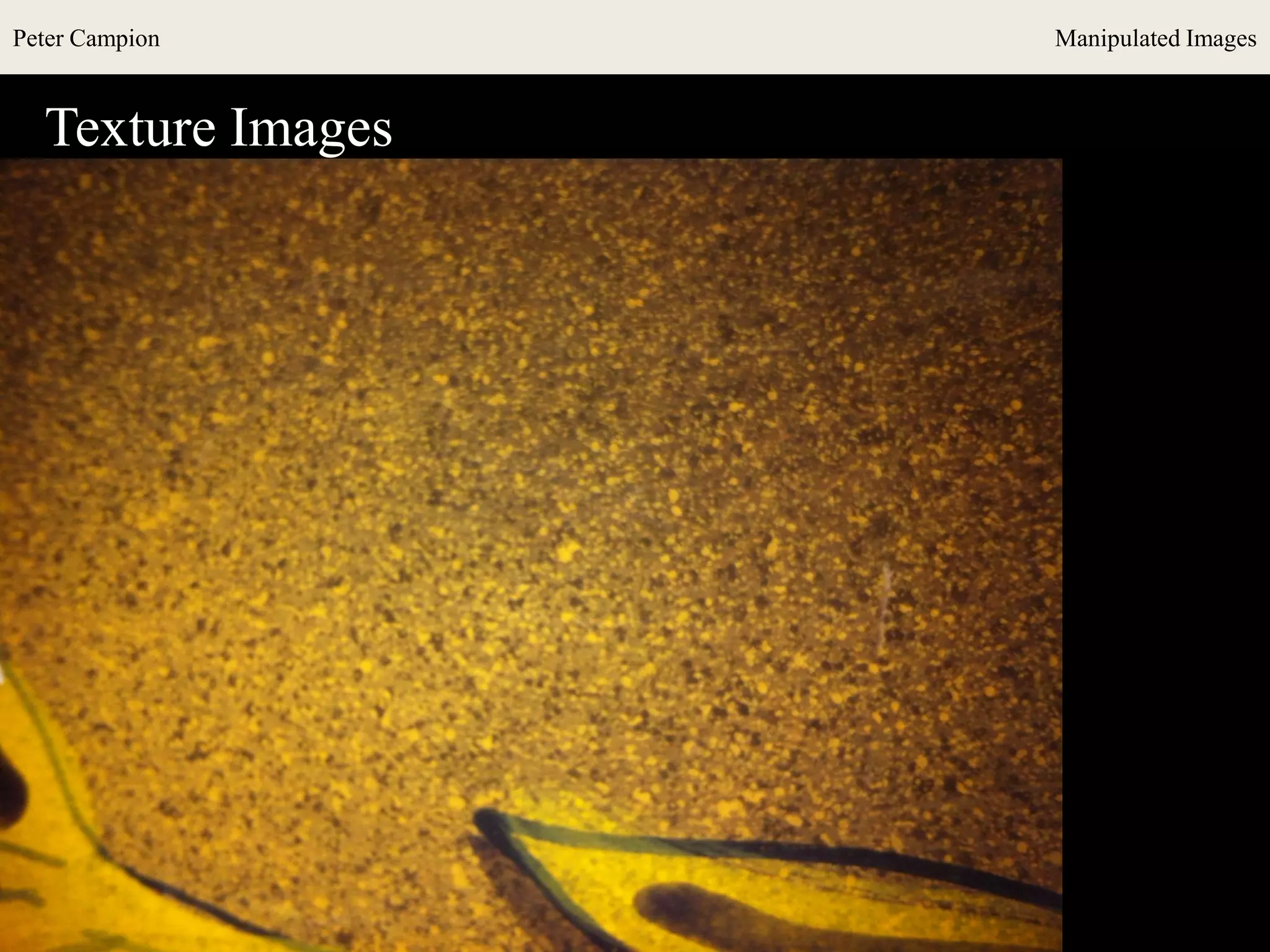 Peter Campion Manipulated Images
Texture Images
 