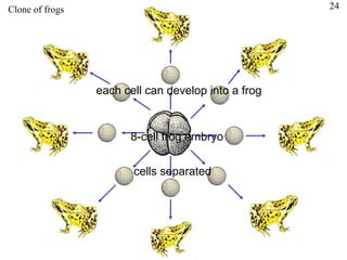 Frog Machine Science Biology Manipulating genes | PPT