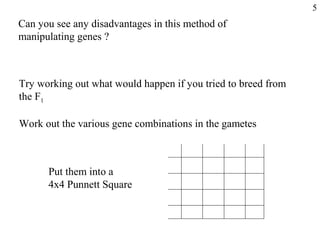 Biology Manipulating genes | PPT