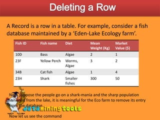 MS Sql Server: Manipulating Database | PPT