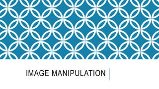 IMAGE MANIPULATION
 