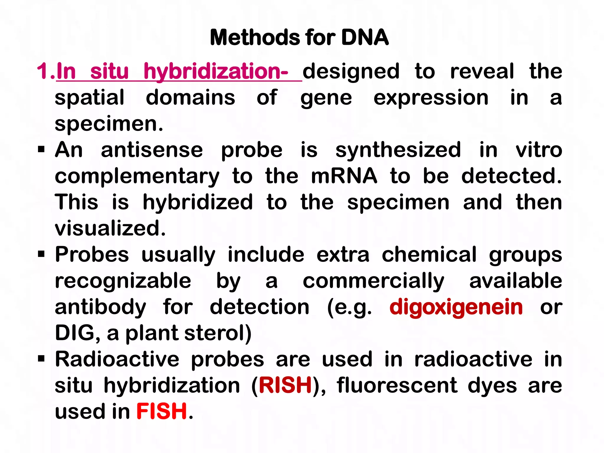 Methods for DNA
1.In situ hybridization- designed to reveal the
  spatial domains of gene expression in a
  specimen.
 An antisense probe is synthesized in vitro
  complementary to the mRNA to be detected.
  This is hybridized to the specimen and then
  visualized.
 Probes usually include extra chemical groups
  recognizable by a commercially available
  antibody for detection (e.g. digoxigenein or
  DIG, a plant sterol)
 Radioactive probes are used in radioactive in
  situ hybridization (RISH), fluorescent dyes are
  used in FISH.
 