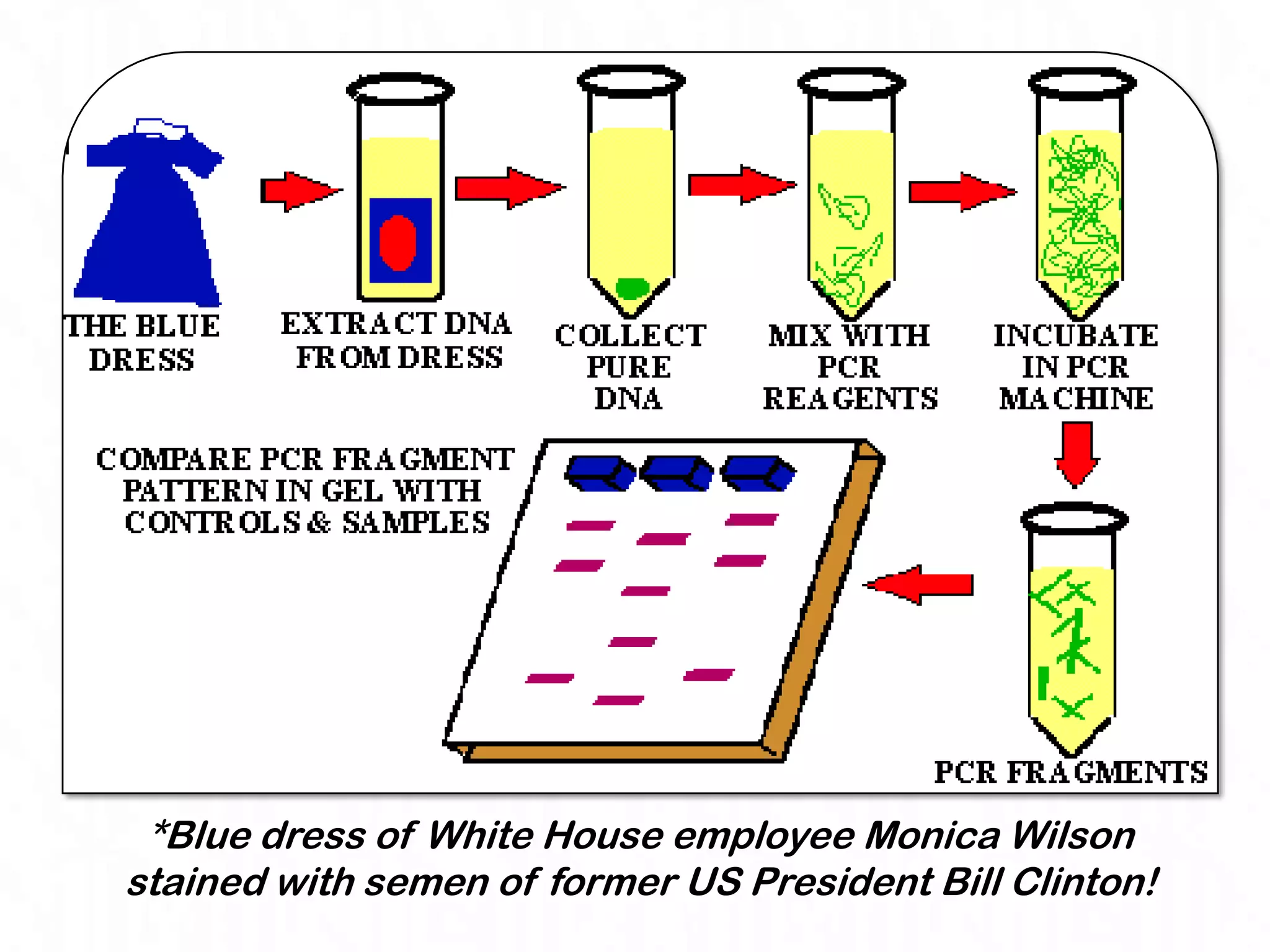 *Blue dress of White House employee Monica Wilson
stained with semen of former US President Bill Clinton!
 