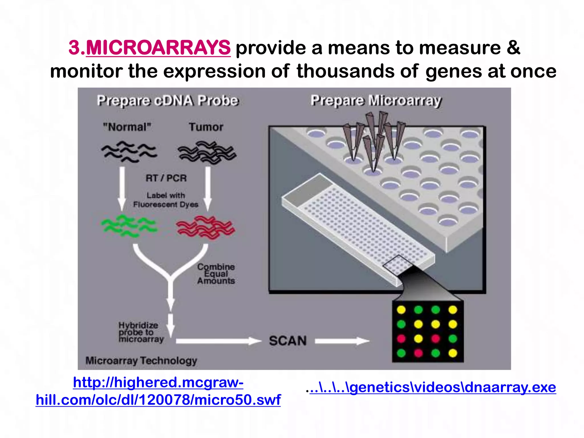 3.MICROARRAYS provide a means to measure &
 monitor the expression of thousands of genes at once




      http://highered.mcgraw-        .......geneticsvideosdnaarray.exe
hill.com/olc/dl/120078/micro50.swf
 