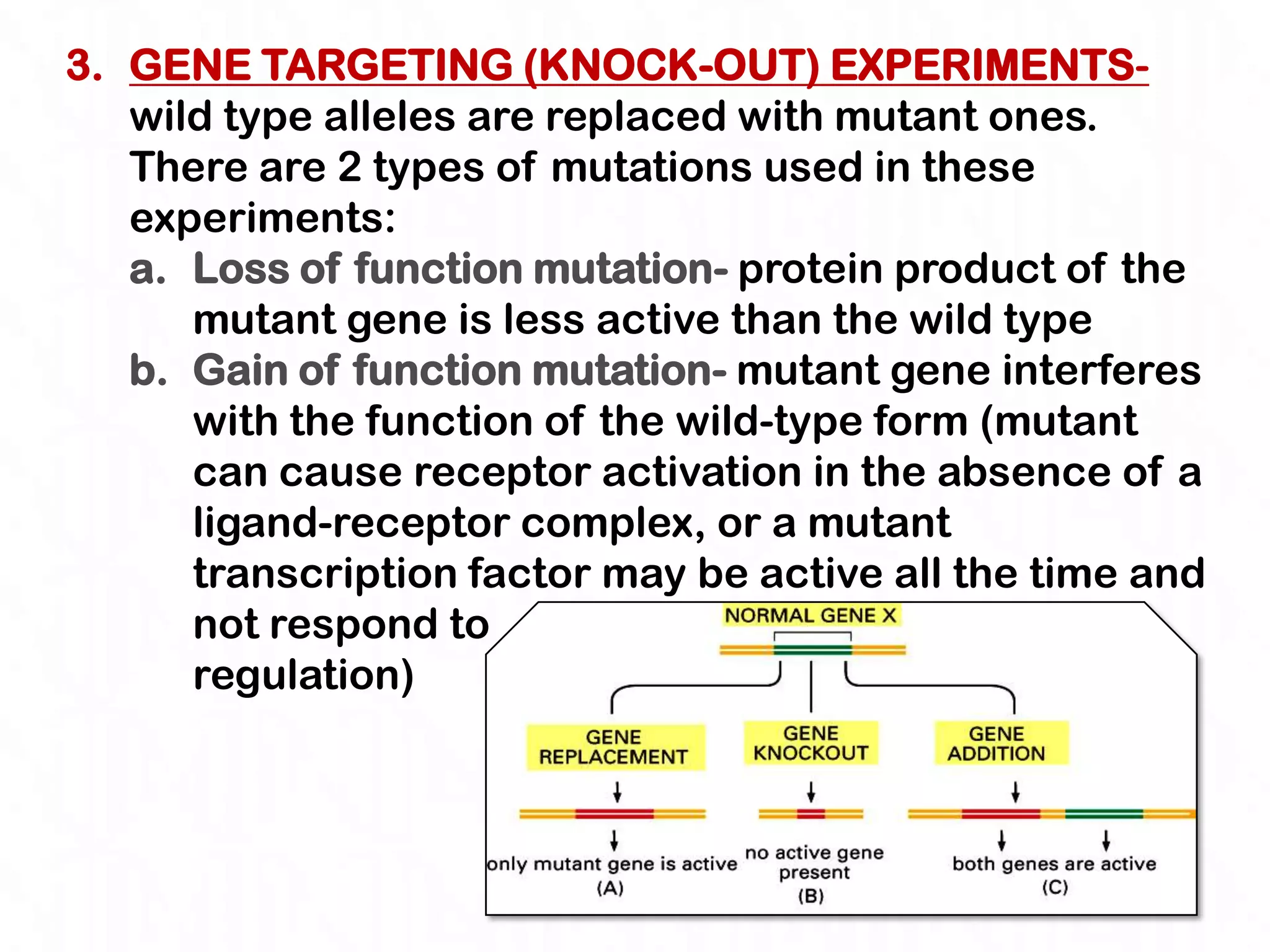 3. GENE TARGETING (KNOCK-OUT) EXPERIMENTS-
   wild type alleles are replaced with mutant ones.
   There are 2 types of mutations used in these
   experiments:
   a. Loss of function mutation- protein product of the
      mutant gene is less active than the wild type
   b. Gain of function mutation- mutant gene interferes
      with the function of the wild-type form (mutant
      can cause receptor activation in the absence of a
      ligand-receptor complex, or a mutant
      transcription factor may be active all the time and
      not respond to
      regulation)
 
