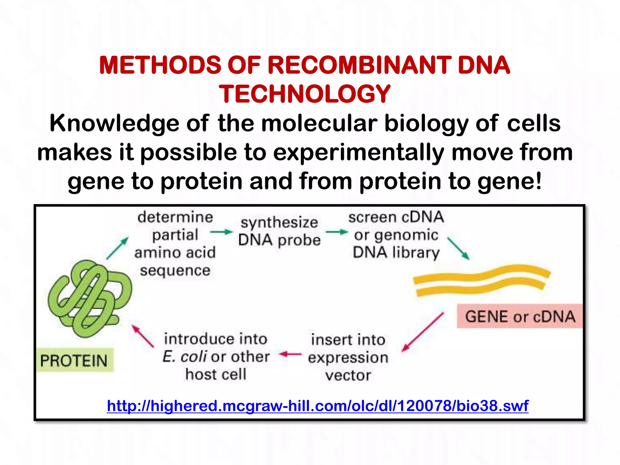 METHODS OF RECOMBINANT DNA
               TECHNOLOGY
 Knowledge of the molecular biology of cells
makes it possible to experimentally move from
  gene to protein and from protein to gene!




     http://highered.mcgraw-hill.com/olc/dl/120078/bio38.swf
 