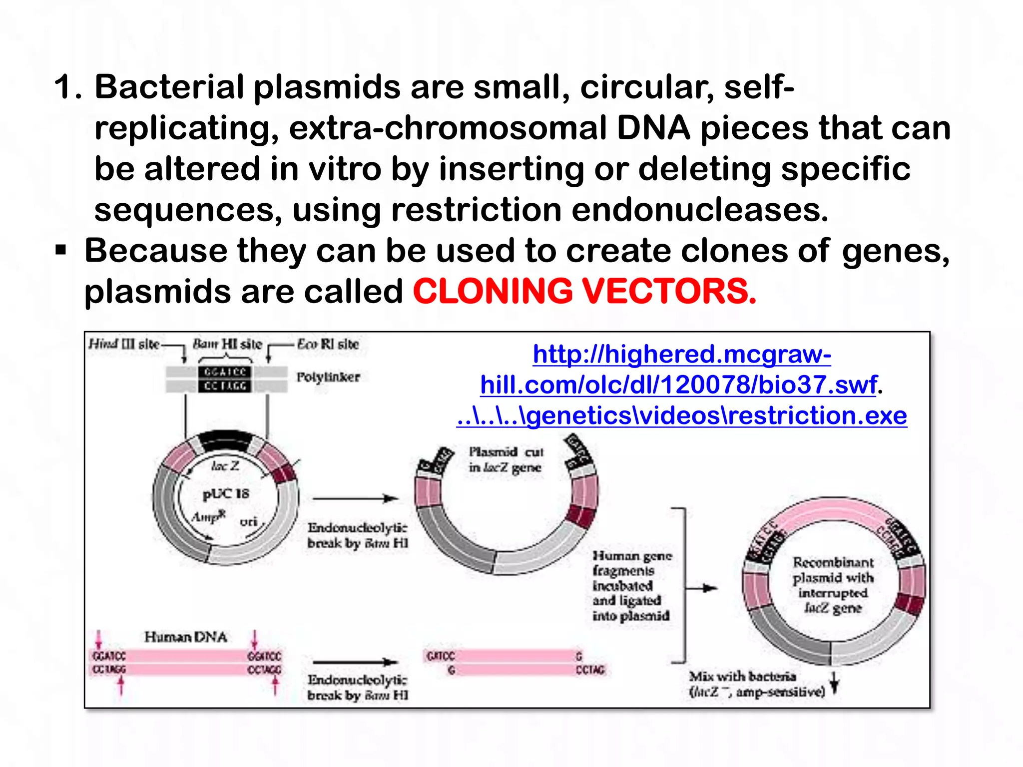 1. Bacterial plasmids are small, circular, self-
   replicating, extra-chromosomal DNA pieces that can
   be altered in vitro by inserting or deleting specific
   sequences, using restriction endonucleases.
 Because they can be used to create clones of genes,
  plasmids are called CLONING VECTORS.
                                  http://highered.mcgraw-
                            hill.com/olc/dl/120078/bio37.swf.
                         ......geneticsvideosrestriction.exe
 