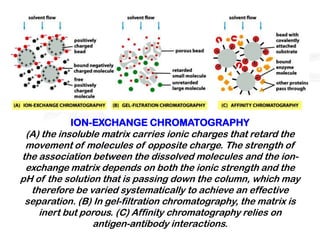 ION-EXCHANGE CHROMATOGRAPHY
 (A) the insoluble matrix carries ionic charges that retard the
 movement of molecules of opposite charge. The strength of
the association between the dissolved molecules and the ion-
 exchange matrix depends on both the ionic strength and the
pH of the solution that is passing down the column, which may
  therefore be varied systematically to achieve an effective
 separation. (B) In gel-filtration chromatography, the matrix is
    inert but porous. (C) Affinity chromatography relies on
                 antigen-antibody interactions.
 