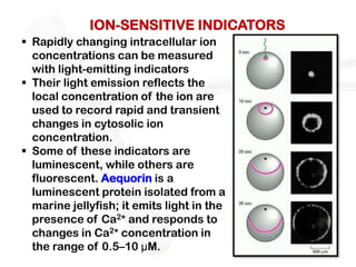 ION-SENSITIVE INDICATORS
 Rapidly changing intracellular ion
  concentrations can be measured
  with light-emitting indicators
 Their light emission reflects the
  local concentration of the ion are
  used to record rapid and transient
  changes in cytosolic ion
  concentration.
 Some of these indicators are
  luminescent, while others are
  fluorescent. Aequorin is a
  luminescent protein isolated from a
  marine jellyfish; it emits light in the
  presence of Ca2+ and responds to
  changes in Ca2+ concentration in
  the range of 0.5–10 μM.
 