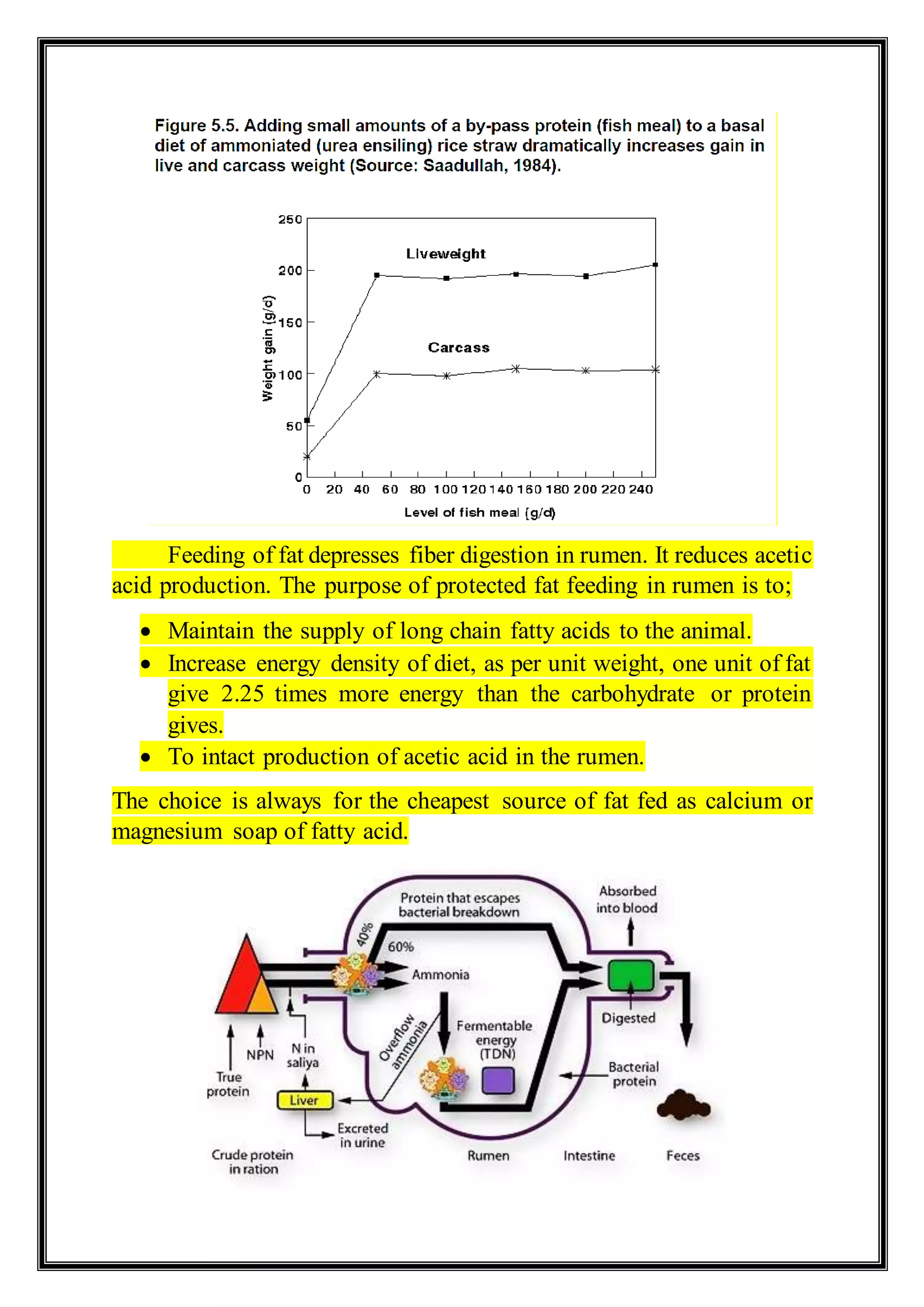 Feeding of fat depresses fiber digestion in rumen. It reduces acetic
acid production. The purpose of protected fat feeding in rumen is to;
 Maintain the supply of long chain fatty acids to the animal.
 Increase energy density of diet, as per unit weight, one unit of fat
give 2.25 times more energy than the carbohydrate or protein
gives.
 To intact production of acetic acid in the rumen.
The choice is always for the cheapest source of fat fed as calcium or
magnesium soap of fatty acid.
 