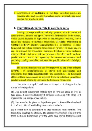 Manipulation of rumen | DOCX