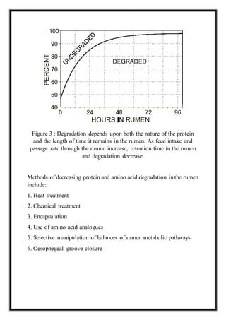 Manipulation of rumen | DOCX