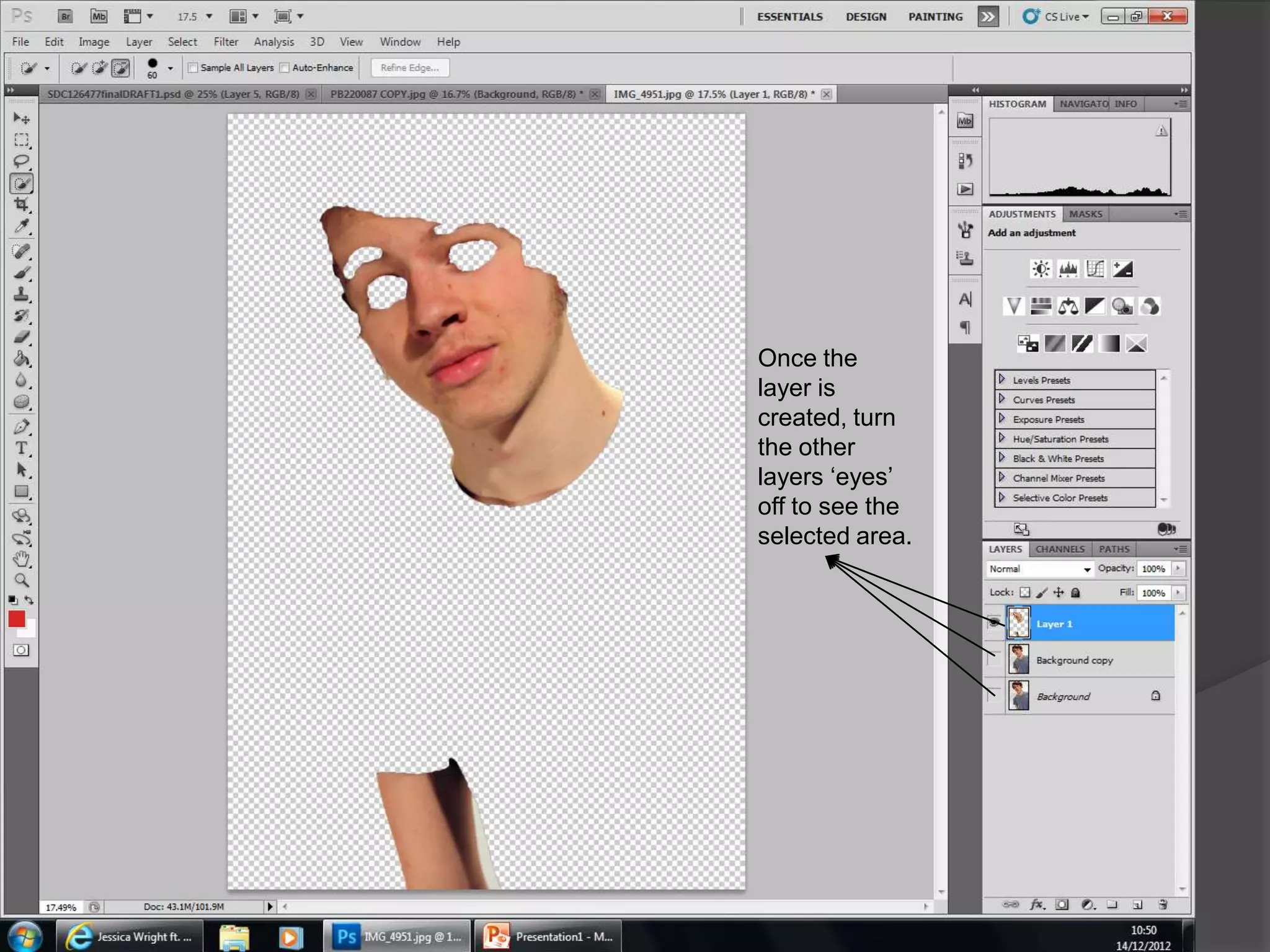 Once the
layer is
created, turn
the other
layers ‘eyes’
off to see the
selected area.
 