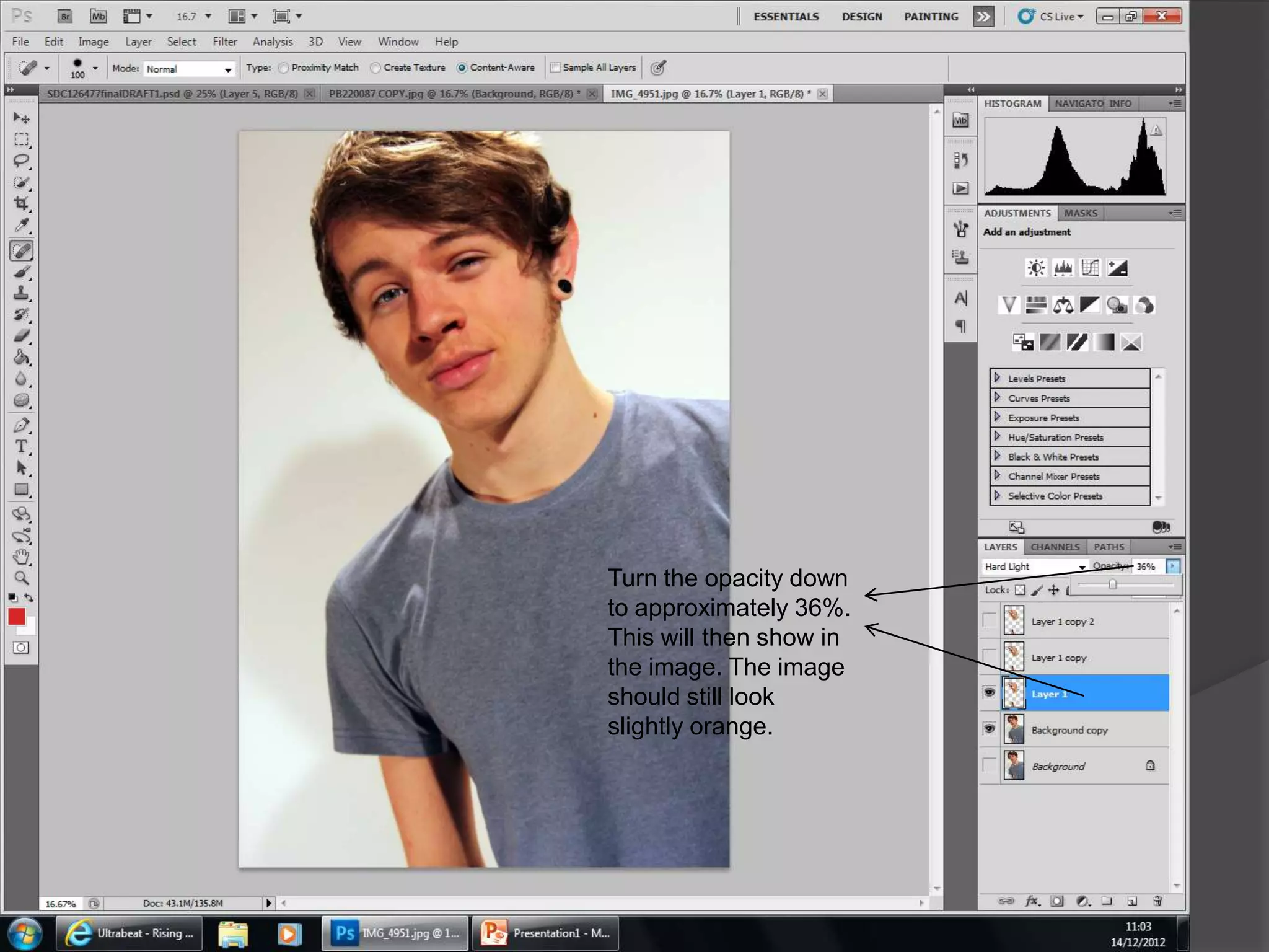 Turn the opacity down
to approximately 36%.
This will then show in
the image. The image
should still look
slightly orange.
 