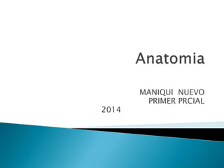 2014

MANIQUI NUEVO
PRIMER PRCIAL

 