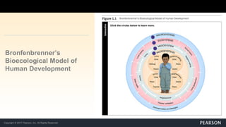 Copyright © 2017 Pearson, Inc. All Rights Reserved
Bronfenbrenner’s
Bioecological Model of
Human Development
 