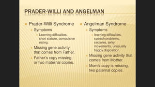 Manis 2017   ch 2 no vid