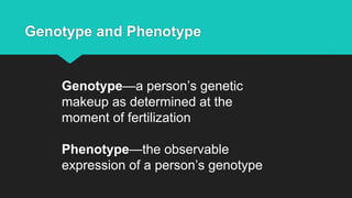 Genotype and Phenotype
Genotype—a person’s genetic
makeup as determined at the
moment of fertilization
Phenotype—the observable
expression of a person’s genotype
 