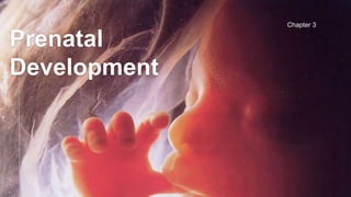 Prenatal
Development
Chapter 3
 