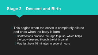 Stage 2 – Descent and Birth
This begins when the cervix is completely dilated
and ends when the baby is born
Contractions produce the urge to push, which helps
the baby descend though the birth canal
May last from 10 minutes to several hours
 