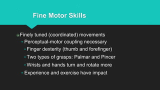 Fine Motor Skills
⦿Finely tuned (coordinated) movements
• Perceptual-motor coupling necessary
• Finger dexterity (thumb and forefinger)
• Two types of grasps: Palmar and Pincer
• Wrists and hands turn and rotate more
• Experience and exercise have impact
 