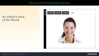 Copyright © 2017 Pearson, Inc. All Rights Reserved
Sensory and Perceptual Development
An Infant’s View
of the World
 