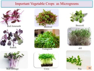 Important Vegetable Crops as Microgreens
Red Amaranth
Red cabbage Pea
Cress
dill
Radish
Broccoli
Beetroot
11
Fenugreek
14/5/2018
 