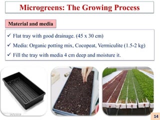  Flat tray with good drainage. (45 x 30 cm)
 Media: Organic potting mix, Cocopeat, Vermiculite (1.5-2 kg)
 Fill the tray with media 4 cm deep and moisture it.
Material and media
Microgreens: The Growing Process
14
14/5/2018
 