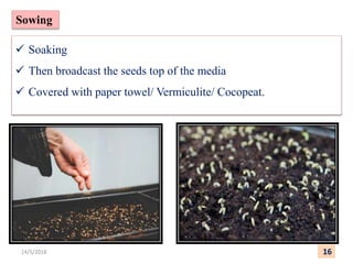  Soaking
 Then broadcast the seeds top of the media
 Covered with paper towel/ Vermiculite/ Cocopeat.
Sowing
16
14/5/2018
 