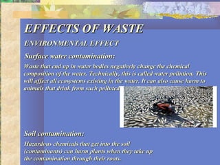 EFFECTS OF WASTEEFFECTS OF WASTE
ENVIRONMENTAL EFFECTENVIRONMENTAL EFFECT
Surface water contamination:Surface water contamination:
Waste that end up in water bodies negatively change the chemicalWaste that end up in water bodies negatively change the chemical
composition of the water. Technically, this is called water pollution. Thiscomposition of the water. Technically, this is called water pollution. This
will affect all ecosystems existing in the water. It can also cause harm towill affect all ecosystems existing in the water. It can also cause harm to
animals that drink from such polluted water.animals that drink from such polluted water.
Soil contamination:Soil contamination:
Hazardous chemicals that get into the soilHazardous chemicals that get into the soil
(contaminants) can harm plants when they take up(contaminants) can harm plants when they take up
the contamination through their roots.the contamination through their roots.
 