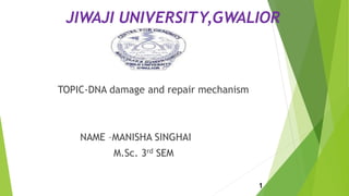 JIWAJI UNIVERSITY,GWALIOR
1
TOPIC-DNA damage and repair mechanism
NAME –MANISHA SINGHAI
M.Sc. 3rd SEM
 