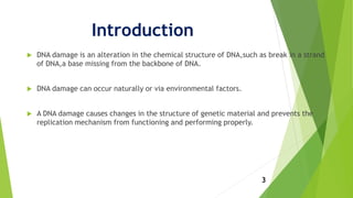 Introduction
 DNA damage is an alteration in the chemical structure of DNA,such as break in a strand
of DNA,a base missing from the backbone of DNA.
 DNA damage can occur naturally or via environmental factors.
 A DNA damage causes changes in the structure of genetic material and prevents the
replication mechanism from functioning and performing properly.
3
 