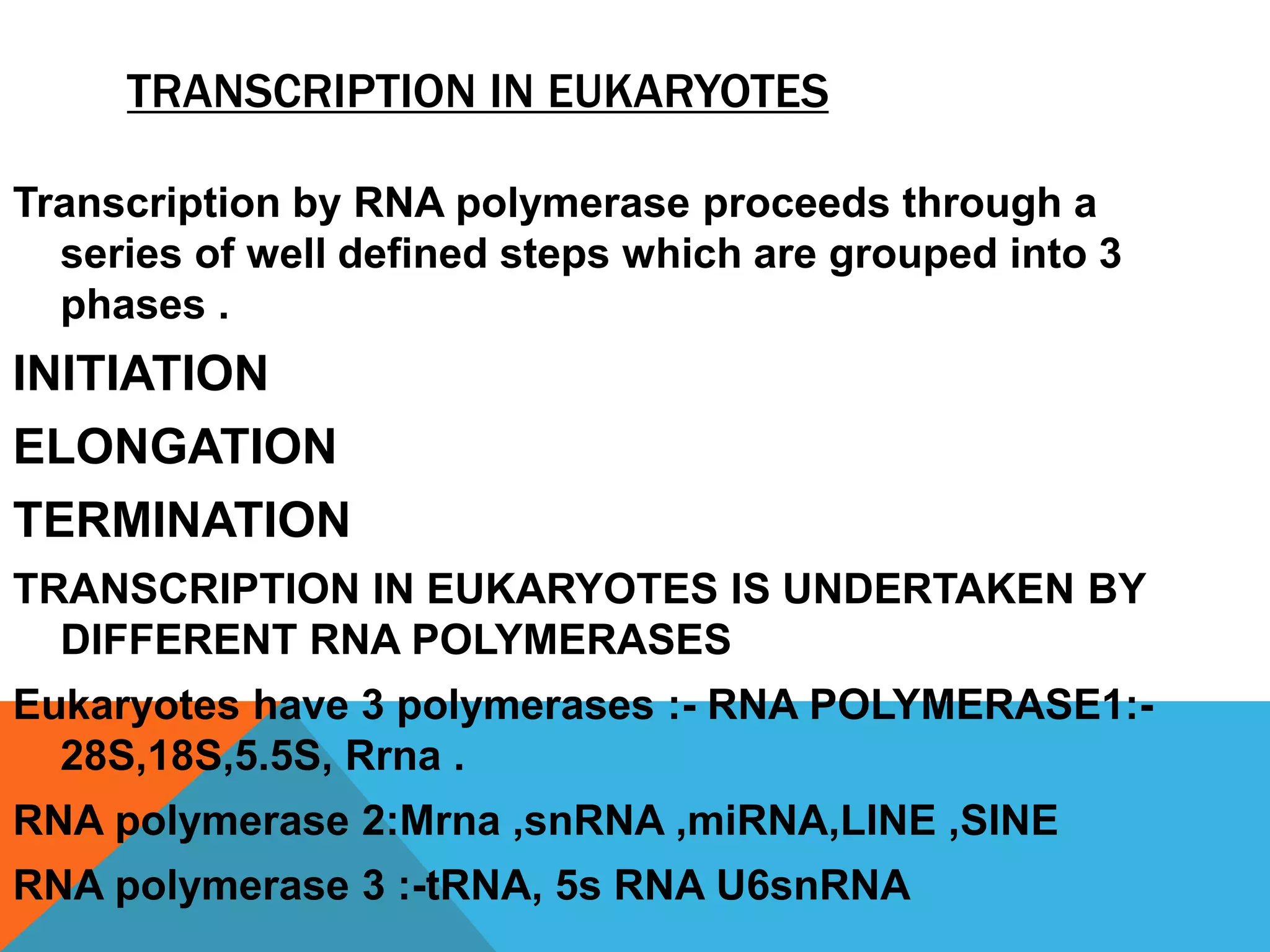 TRANSCRIPTION IN EUKARYOTES
Transcription by RNA polymerase proceeds through a
series of well defined steps which are grouped into 3
phases .
INITIATION
ELONGATION
TERMINATION
TRANSCRIPTION IN EUKARYOTES IS UNDERTAKEN BY
DIFFERENT RNA POLYMERASES
Eukaryotes have 3 polymerases :- RNA POLYMERASE1:-
28S,18S,5.5S, Rrna .
RNA polymerase 2:Mrna ,snRNA ,miRNA,LINE ,SINE
RNA polymerase 3 :-tRNA, 5s RNA U6snRNA
 