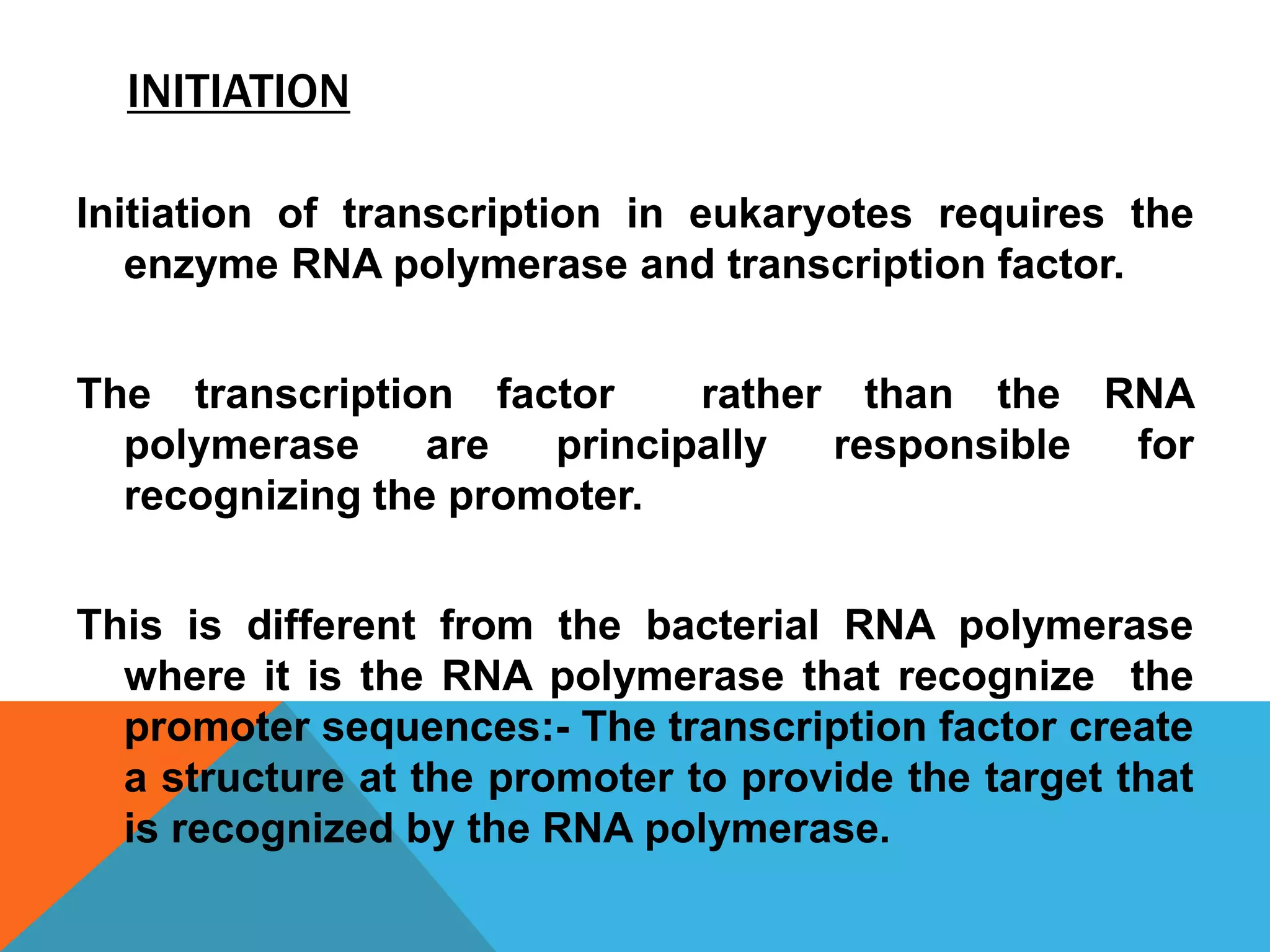 INITIATION
Initiation of transcription in eukaryotes requires the
enzyme RNA polymerase and transcription factor.
The transcription factor rather than the RNA
polymerase are principally responsible for
recognizing the promoter.
This is different from the bacterial RNA polymerase
where it is the RNA polymerase that recognize the
promoter sequences:- The transcription factor create
a structure at the promoter to provide the target that
is recognized by the RNA polymerase.
 