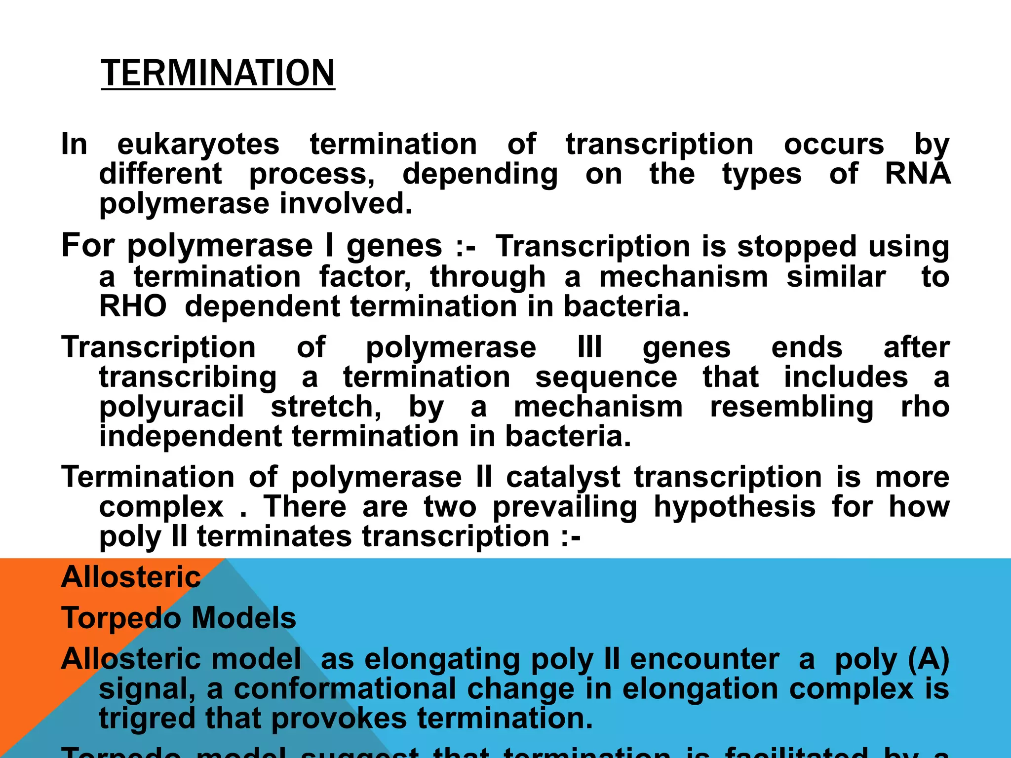 TERMINATION
In eukaryotes termination of transcription occurs by
different process, depending on the types of RNA
polymerase involved.
For polymerase I genes :- Transcription is stopped using
a termination factor, through a mechanism similar to
RHO dependent termination in bacteria.
Transcription of polymerase III genes ends after
transcribing a termination sequence that includes a
polyuracil stretch, by a mechanism resembling rho
independent termination in bacteria.
Termination of polymerase II catalyst transcription is more
complex . There are two prevailing hypothesis for how
poly II terminates transcription :-
Allosteric
Torpedo Models
Allosteric model as elongating poly II encounter a poly (A)
signal, a conformational change in elongation complex is
trigred that provokes termination.
 