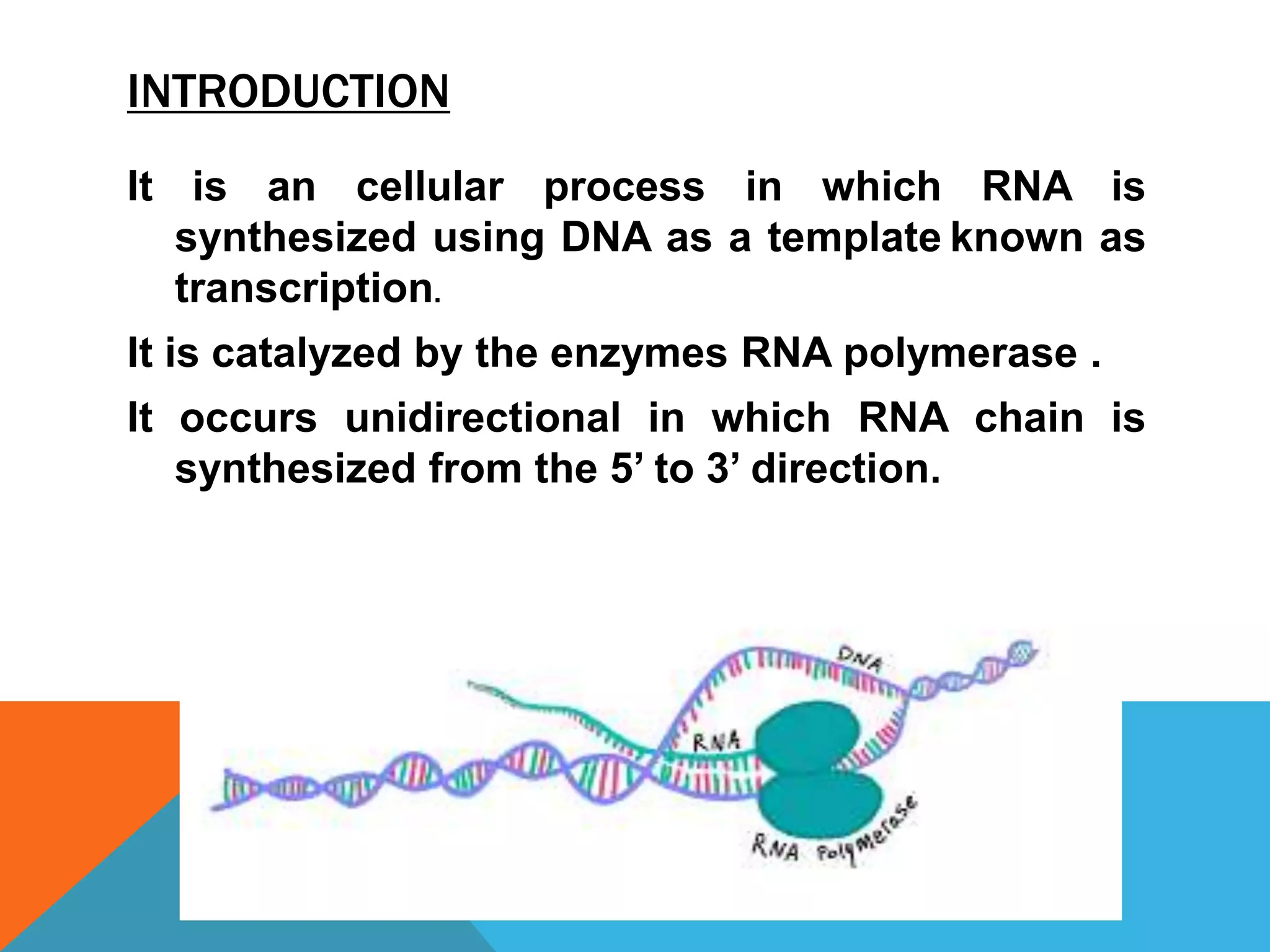 INTRODUCTION
It is an cellular process in which RNA is
synthesized using DNA as a template known as
transcription.
It is catalyzed by the enzymes RNA polymerase .
It occurs unidirectional in which RNA chain is
synthesized from the 5’ to 3’ direction.
 