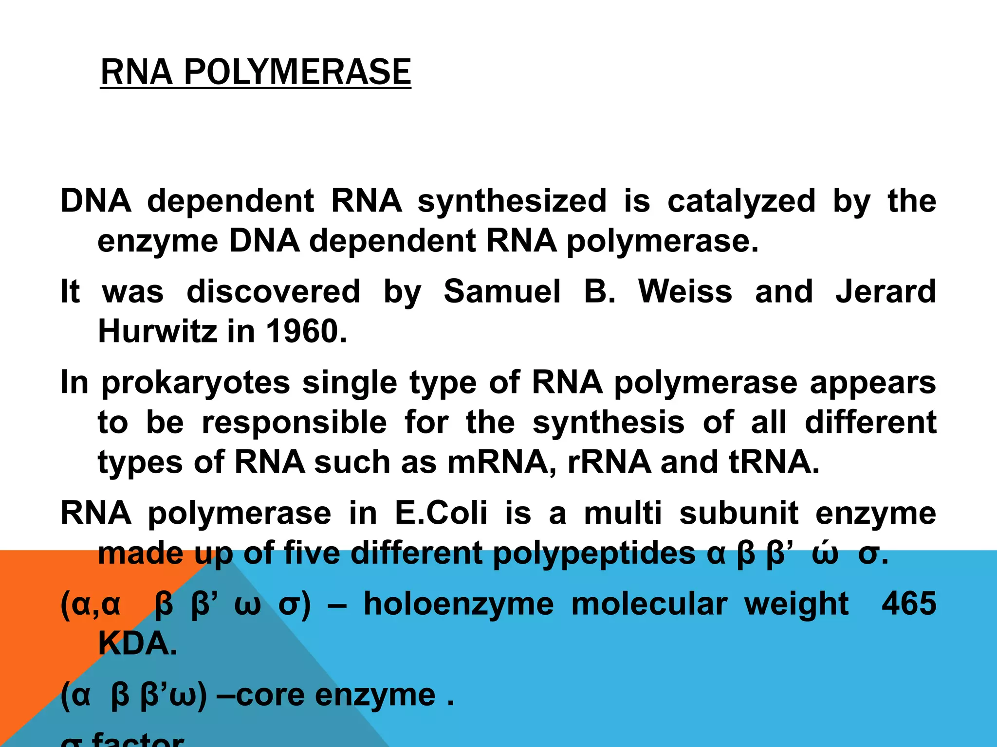RNA POLYMERASE
DNA dependent RNA synthesized is catalyzed by the
enzyme DNA dependent RNA polymerase.
It was discovered by Samuel B. Weiss and Jerard
Hurwitz in 1960.
In prokaryotes single type of RNA polymerase appears
to be responsible for the synthesis of all different
types of RNA such as mRNA, rRNA and tRNA.
RNA polymerase in E.Coli is a multi subunit enzyme
made up of five different polypeptides α β β’ ώ σ.
(α,α β β’ ω σ) – holoenzyme molecular weight 465
KDA.
(α β β’ω) –core enzyme .
 