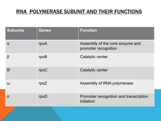 RNA POLYMERASE SUBUNIT AND THEIR FUNCTIONS
Subunits Genes Function
α rpoA Assembly of the core enzyme and
promoter recognition
β rpoB Catalytic center
Β’ rpoC Catalytic center
ω rpoZ Assembly of RNA polymerase
σ rpoD Promoter recognition and transcription
initiation
 