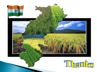 case study of agricultural project 