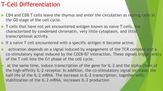 T-Cell Differentiation
 CD4 and CD8 T cells leave the thymus and enter the circulation as resting cells in
the G0 stage of the cell cycle.
 T cells that have not yet encountered antigen known as naive T cells, are
characterized by condensed chromatin, very little cytoplasm, and little
transcriptional activity.
 If a naïve T cell encountered with a specific antigen it become active.
 activation depends on a signal induced by engagement of the TCR complex and a
co-stimulatory signal induced by the CD28-B7 interaction. These signals trigger entry
of the T cell into the G1 phase of the cell cycle.
 at the same time, induce transcription of the gene for IL-2 and the alpha-chain of
the high-affinity IL-2 receptor. In addition, the co-stimulatory signal increases the
half-life of the IL-2 mRNA. The increase in IL-2 transcription, together with
stabilization of the IL-2 mRNA, increases IL-2 production
 