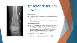 a brief discussion over bone TUMORS PPT.pptx