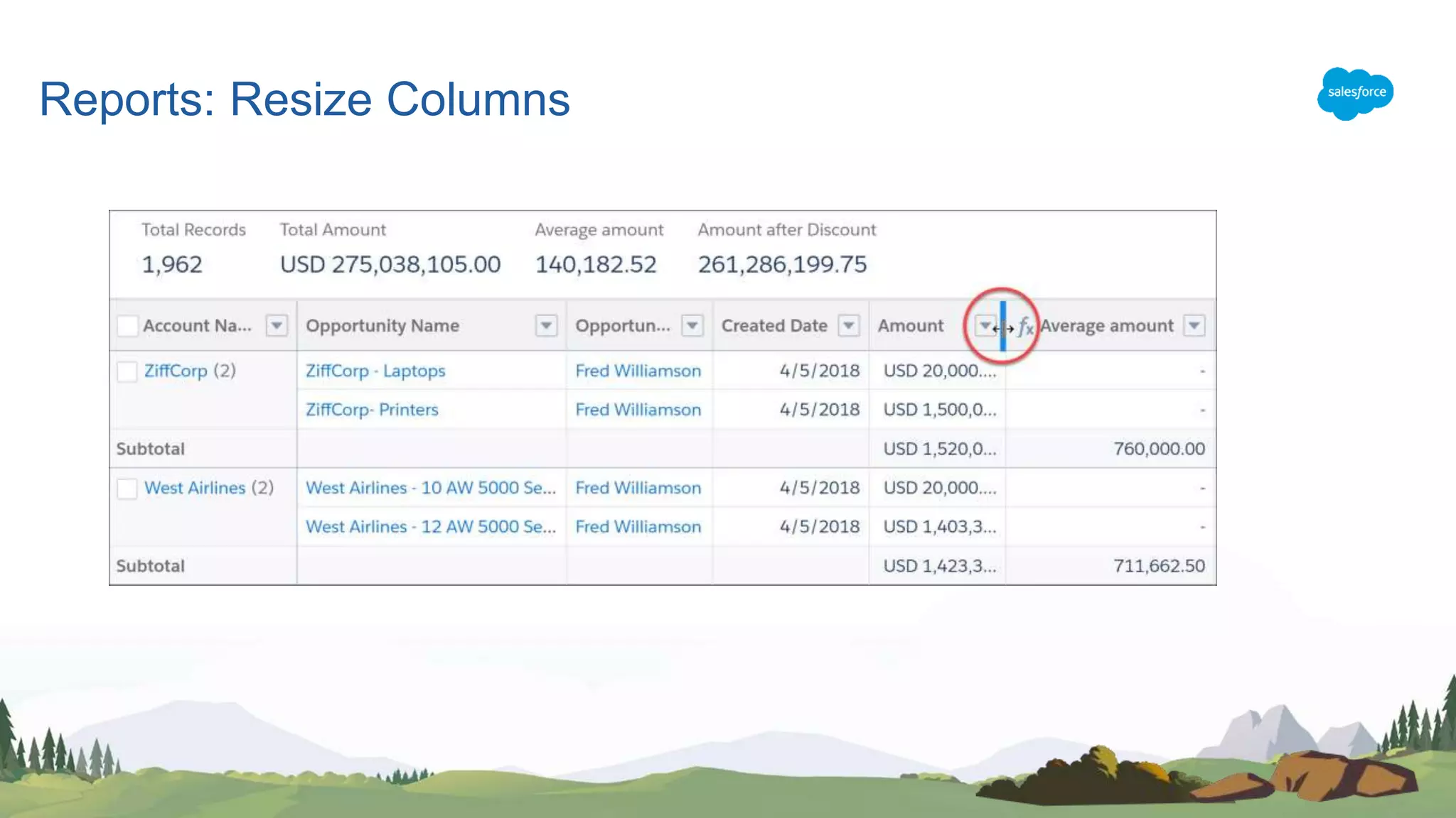 Reports: Resize Columns
 
