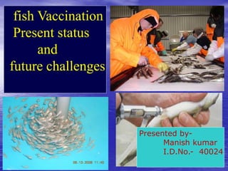 fish Vaccination
Present status
and
future challenges
Presented by-
Manish kumar
I.D.No.- 40024
 